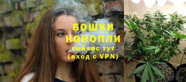 ALPHA-PVP Туринск