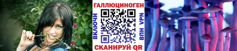 blacksprut маркетплейс  Ставрополь  Галлюциногенные грибы Psilocybe  магазин продажи  